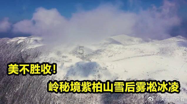 史提芬填色书